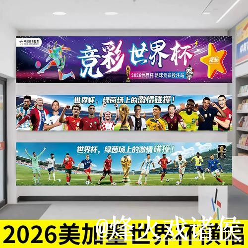 美加墨世界杯投注入口整理，操作问题和平台稳定性说明
